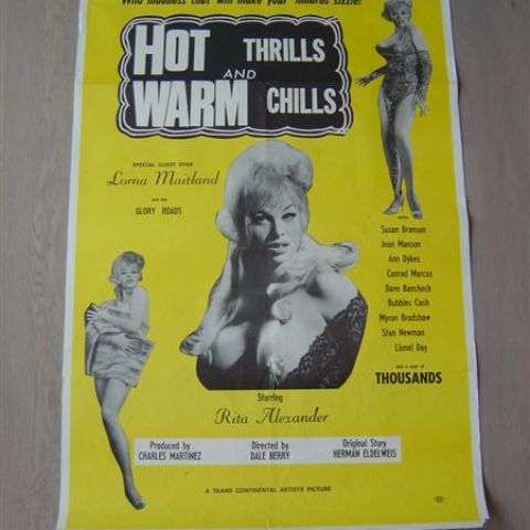 'Hot thrills and warm chills' (director Dale Berry) U.S. one-sheet